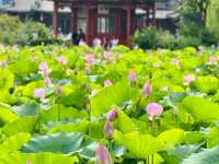 Baoding: A City of History Beneath Quiet Walls