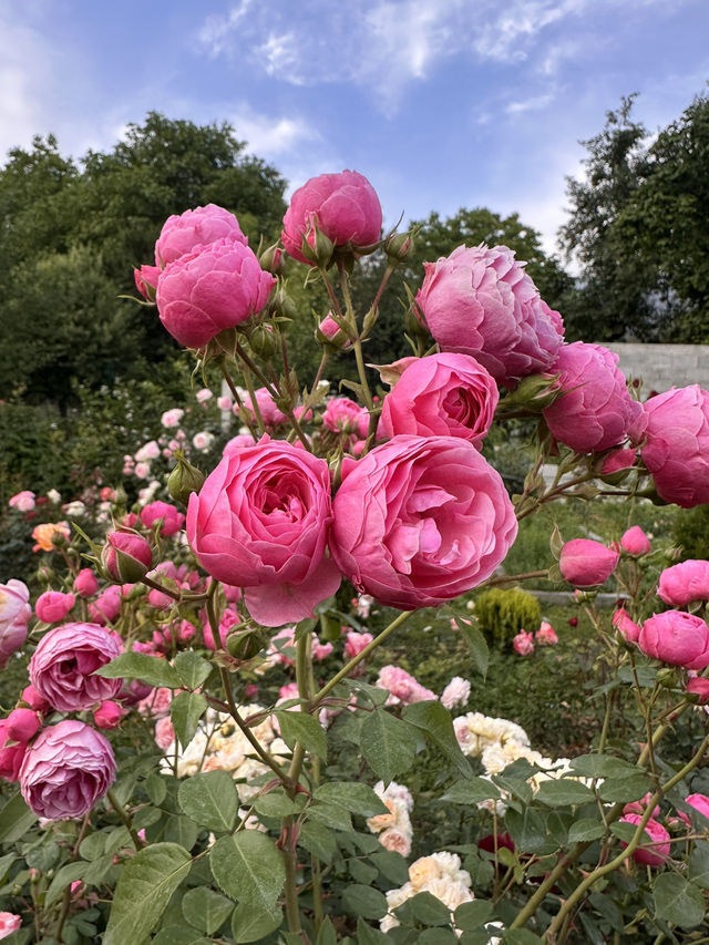 Guesthouse of hundreds of roses