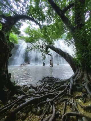 Thommankuthu Waterfalls🌊