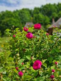 🕊️ Peace, Wood & Spirituality: Discover Bârsana Monastery in Maramureș