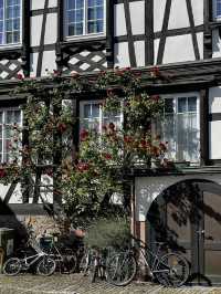 🏡✨ Gengenbach’s Timeless Treasures: Where Every House Tells a Story 🇩🇪💫