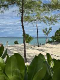 How to spend 6 days in Phi Phi Island