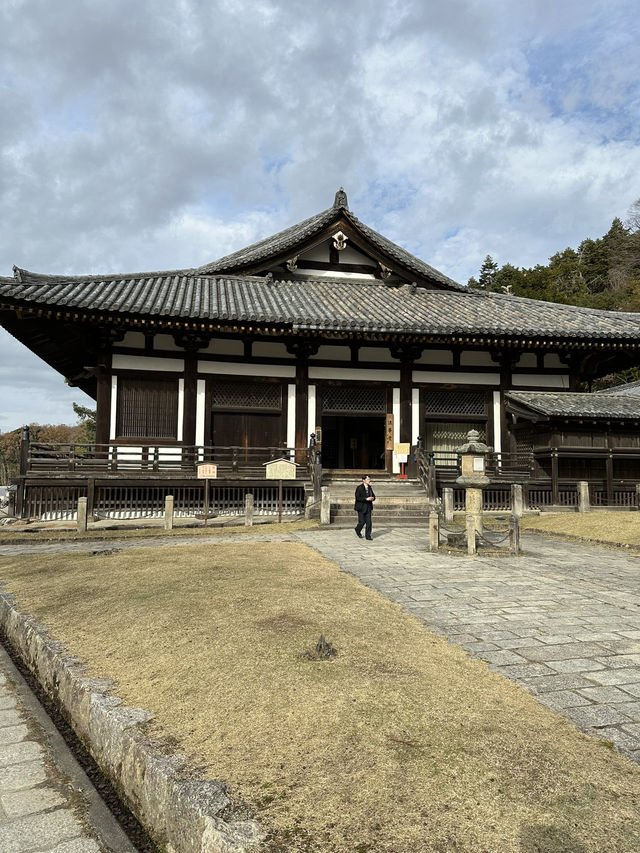 Deer, Temples & Tranquility: The Ultimate Nara Park Stroll 