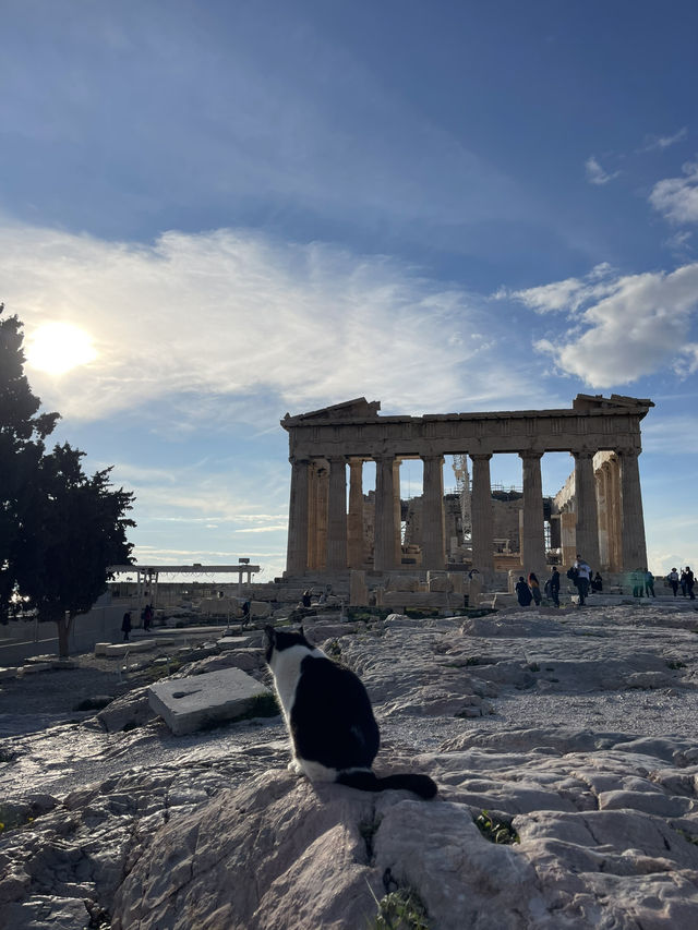 🏛️ Acropolis – Athens’ Timeless Icon 🌿✨