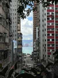 Hong Kong Modernism✨