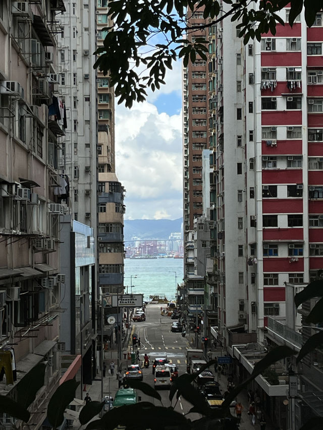 Hong Kong Modernism✨