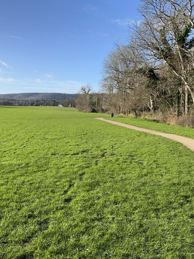 探索千年遺址秘境之旅 探索千年遺址秘境之旅