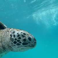 ๐ฒ๐พ Malaysia ๐๏ธ Redang Island Magic Escape ๐