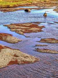 Þingvellir Dream🌍