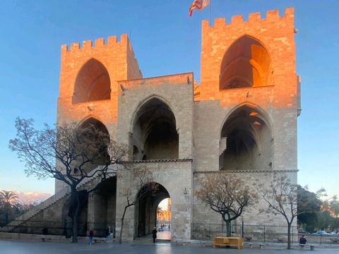 Sunny Street Vibes☀️