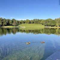Mount Royal Park Parc du Mont-Royal