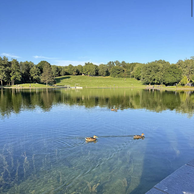 Mount Royal Park Parc du Mont-Royal