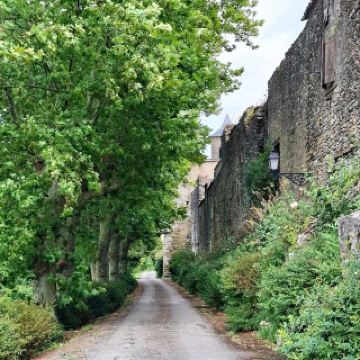 Moody Mountain Views⛰️