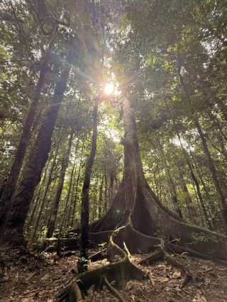 Iquitos 3天行程
