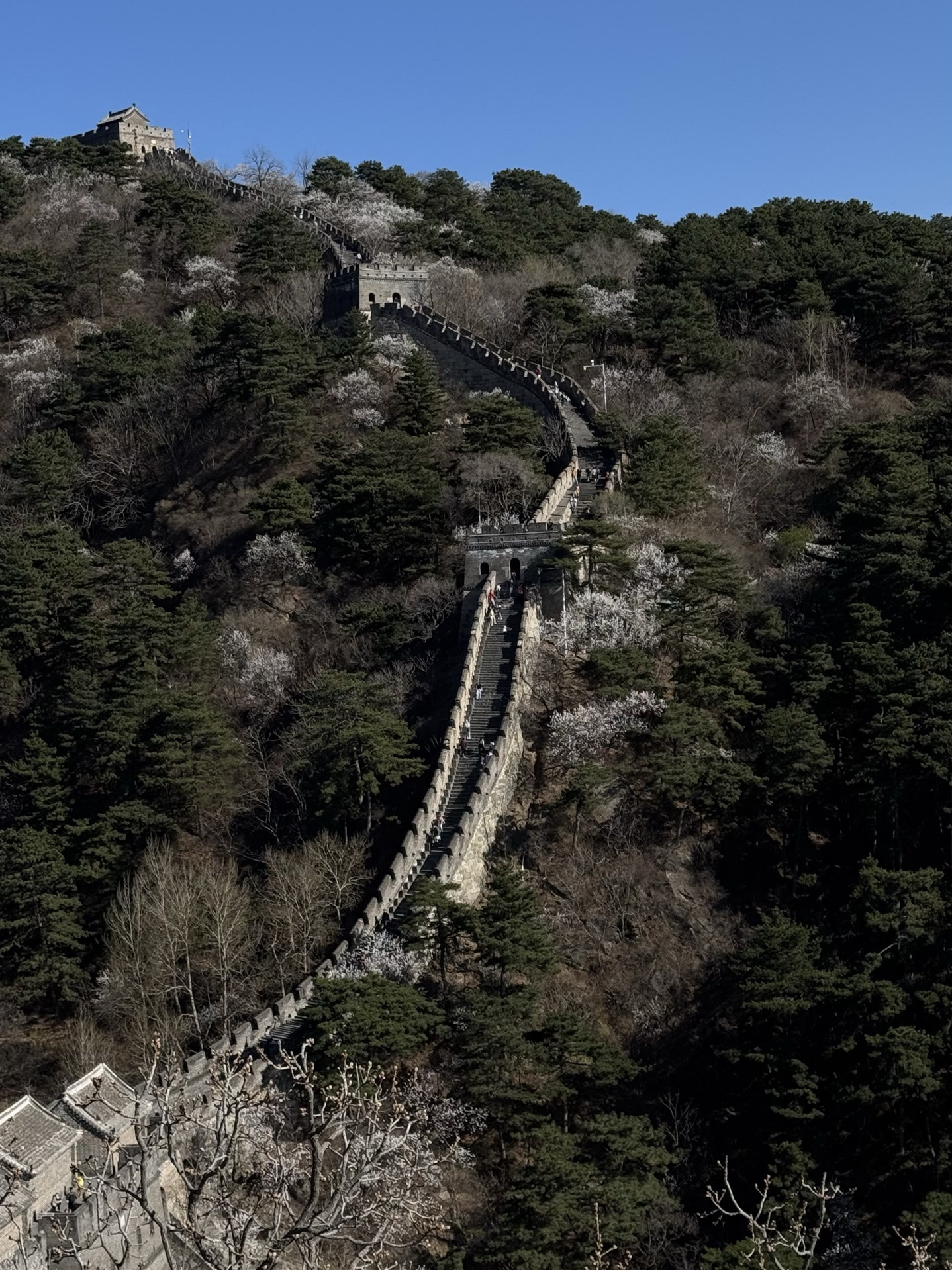 I Chose Mutianyu Over Badaling—And It Was My Best Day in Beijing