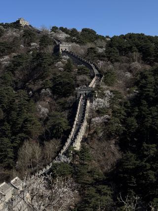 I Chose Mutianyu Over Badaling—And It Was My Best Day in Beijing