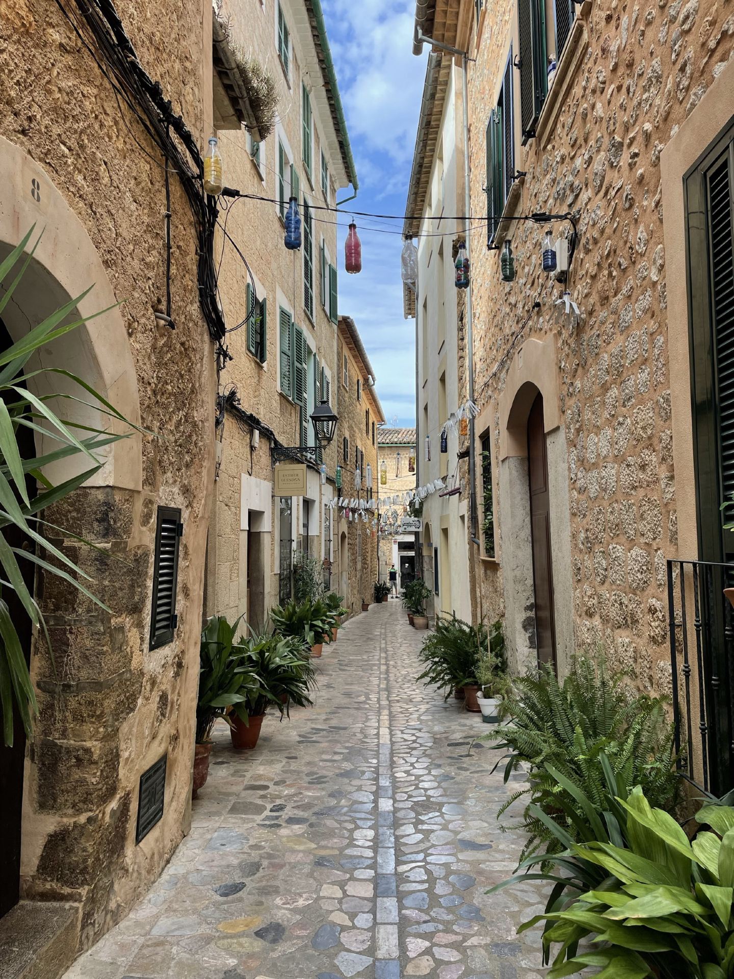 Mallorca beyond the beaches 🌿🚋🌊A little route through Sóller, Valldemossa and some of the island