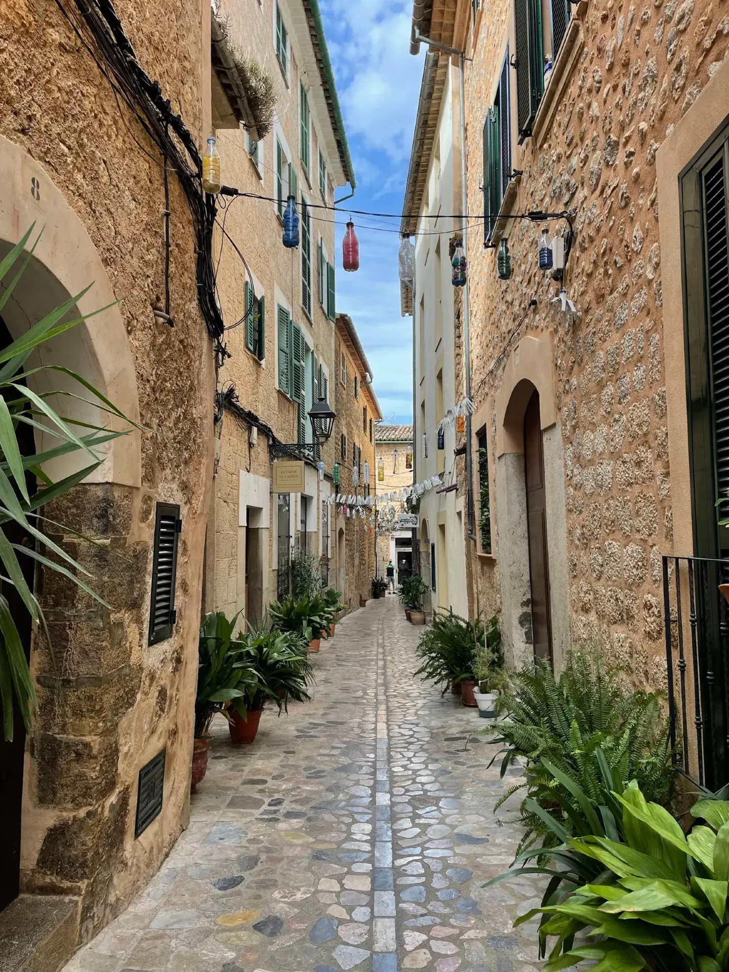 Mallorca beyond the beaches 🌿🚋🌊A little route through Sóller, Valldemossa and some of the island