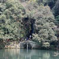 Nine Creeks Misty Forest 🌳 | Hangzhou 