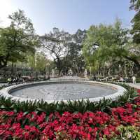 打卡廣州人民公園
