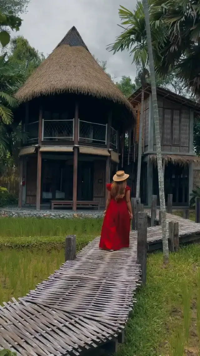 🏖️Thailand Beach Vacation