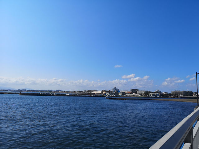 On Enoshima, facing the sea, the spring is warm and the flowers are blooming!