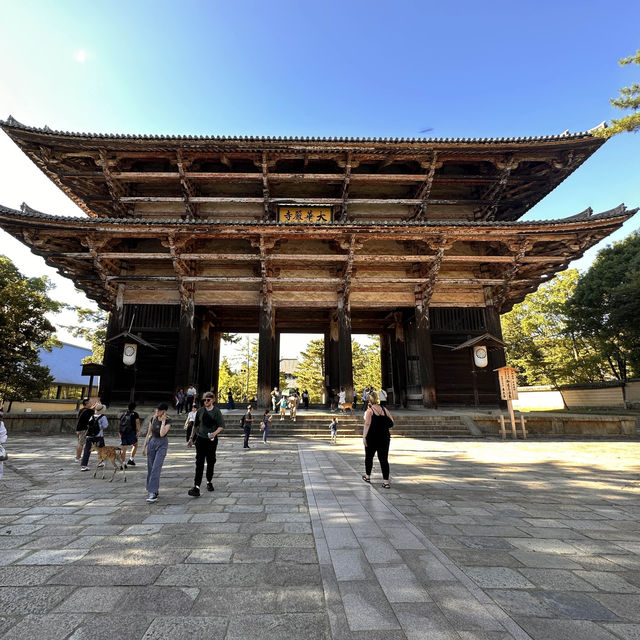 The worlds biggest Bronze Buddha statue