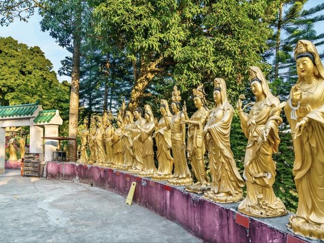 A Tranquil Haven of Spiritual Serenity🇭🇰