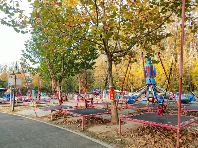 擁有森林棧道的天津免費公園