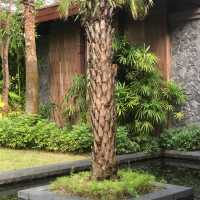 Conghua - The Home of Relaxation 