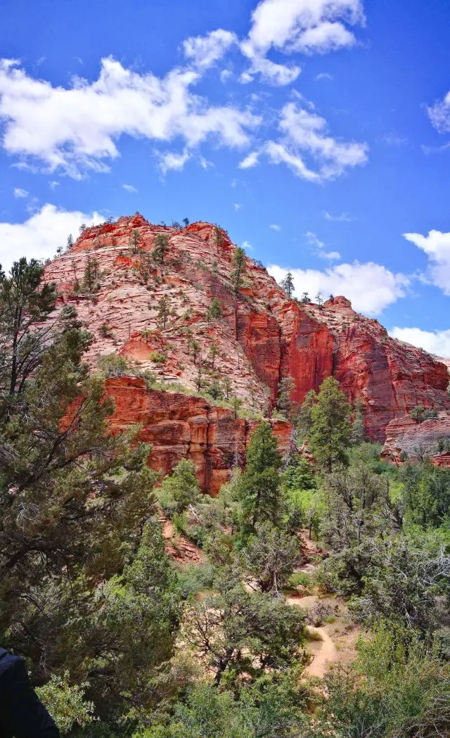 Unlock the different Zion - Start a fun trip to the national park!