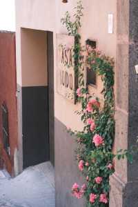 在墨西哥逛歐洲小鎮San Miguel de Allende