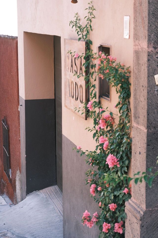 在墨西哥逛歐洲小鎮San Miguel de Allende