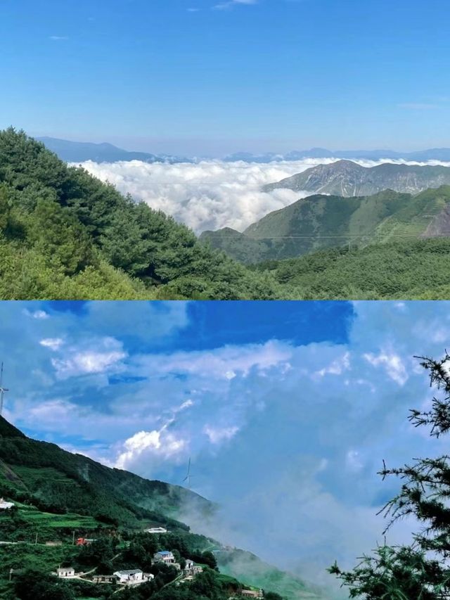 宮崎駿同款草地大海草山