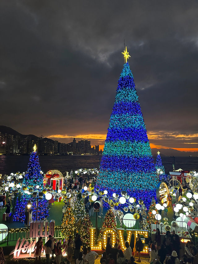 香港跟我一起來看絕美的日落聖誕樹吧