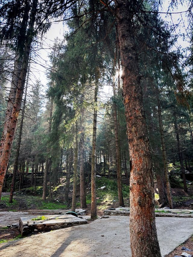 🇨🇳Lost in Tianchi Heavenly Park, Xinjiang!