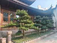 市區裡的寺廟-七塔禪寺