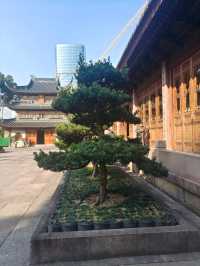 市區裡的寺廟-七塔禪寺