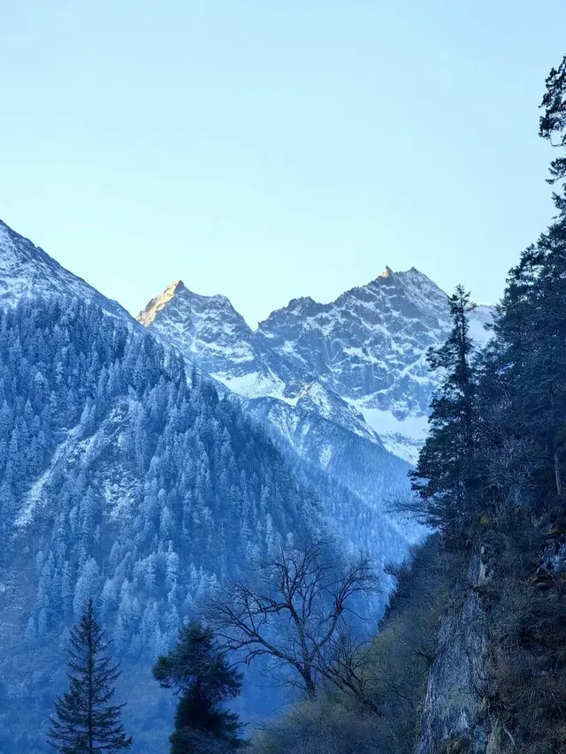 川西畢棚溝聽說雪山可以治癒一切