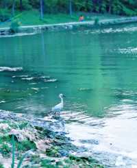 上海週末去哪兒美蘭湖