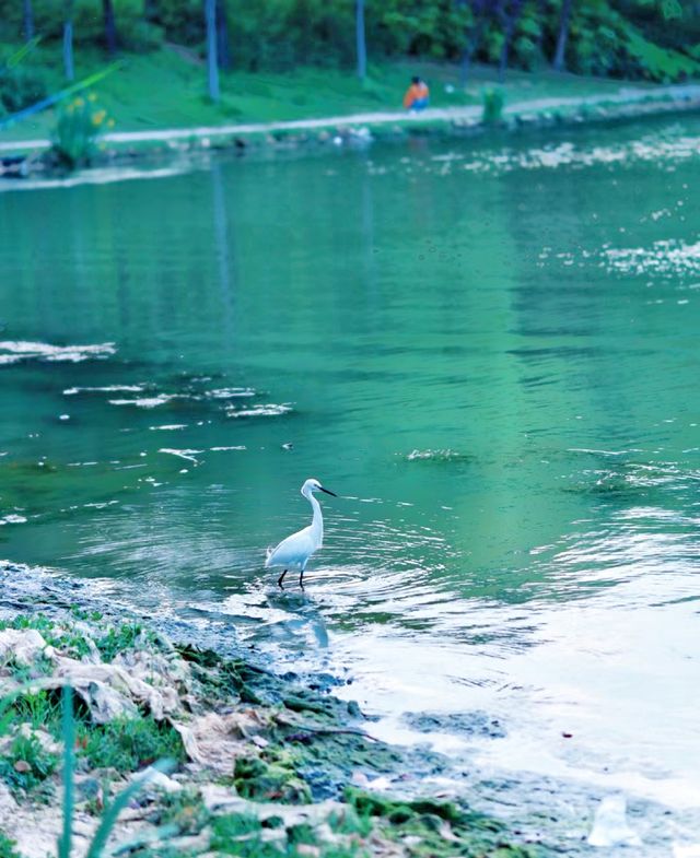 上海週末去哪兒美蘭湖