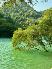 後悔沒早點來柳州，龍潭公園太好拍了