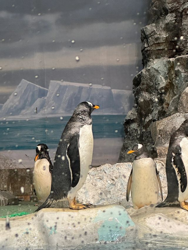 名古屋水族館