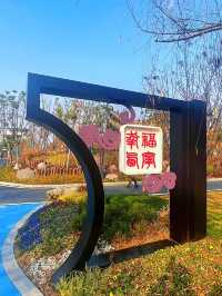 魅力夏都：合肥園博園西寧園