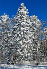 長白山雪嶺｜探索長白山雪嶺的冰雪秘境！