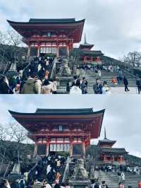 新年登高之閒逛京都 | 日本C位城市