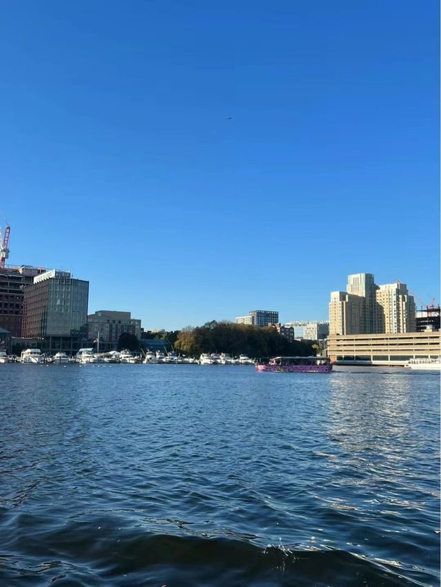 波士頓鴨子船：城市的秘密漫遊