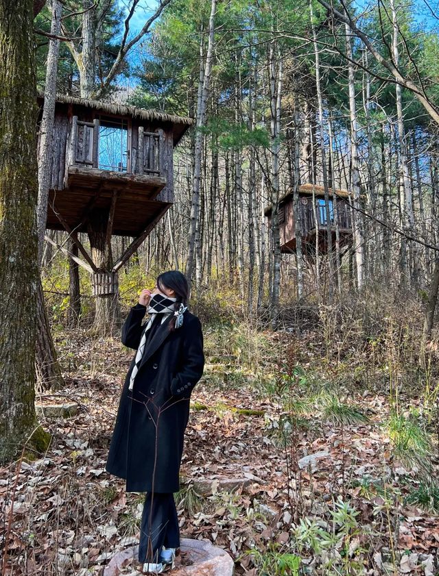 西安周邊遊住進遠離城市的小樹屋看秋天風景 西安周邊遊住進遠離城市的小樹屋看秋天風景