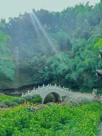 你想看什麼樣的風景，我們一起來感受大自然吧！