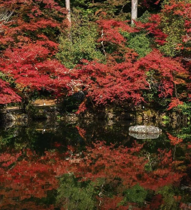 西安青龍寺